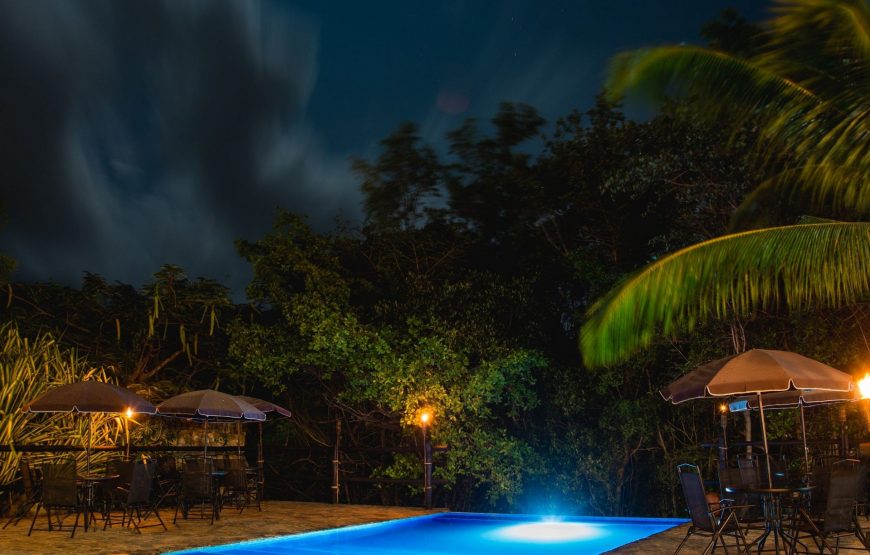 Miniatura 3 de Morrocoy