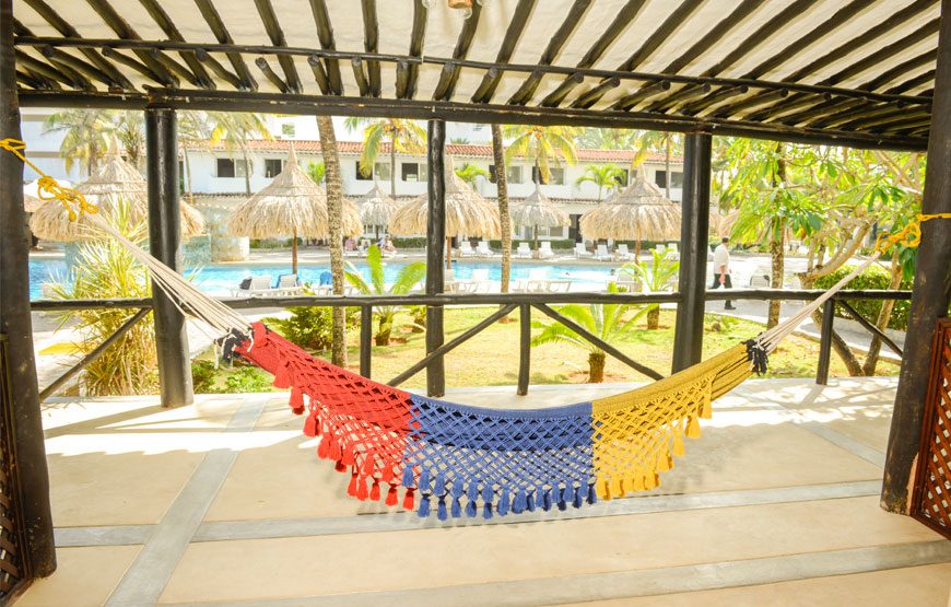 Miniatura 2 de Margarita