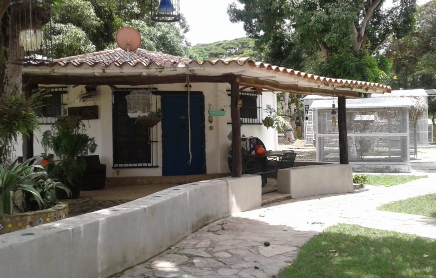 Miniatura 3 de Los Llanos
