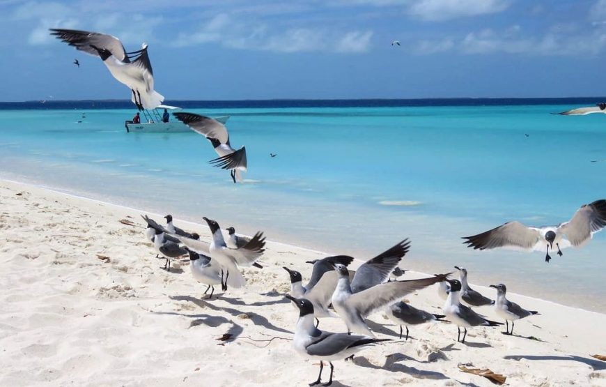 Los Roques, Venezuela