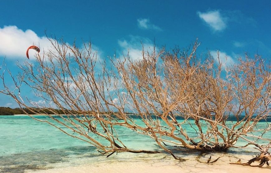 Miniatura 2 de Los Roques
