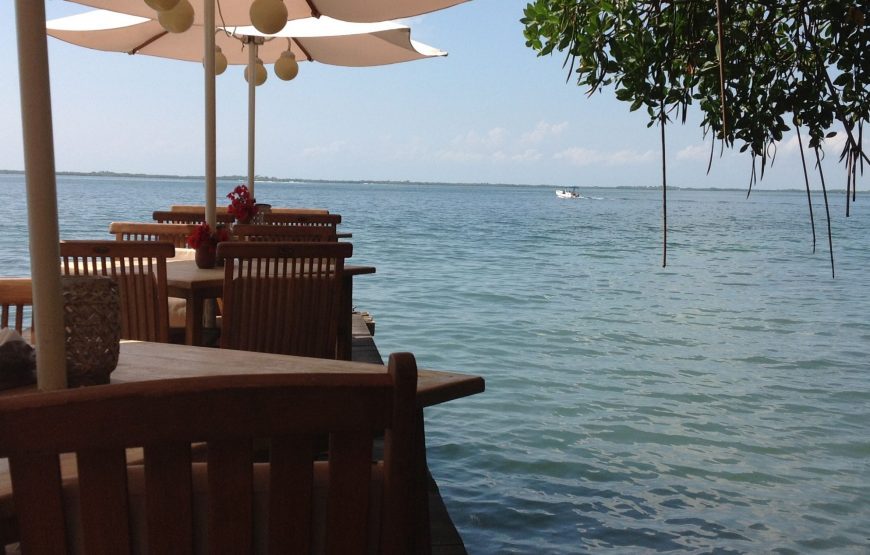 Miniatura 2 de Morrocoy